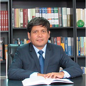 LUIS G. ALDANA RÍOS